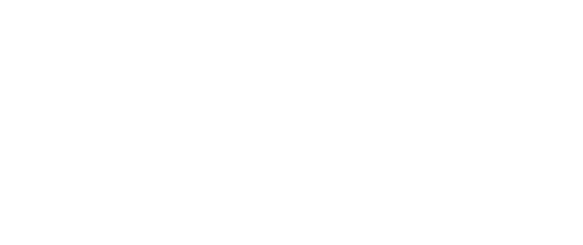 T-Fiber